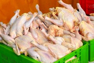 هیچ واحد صنفی نباید مرغ را بیشتر از 27 هزار تومان عرضه كند