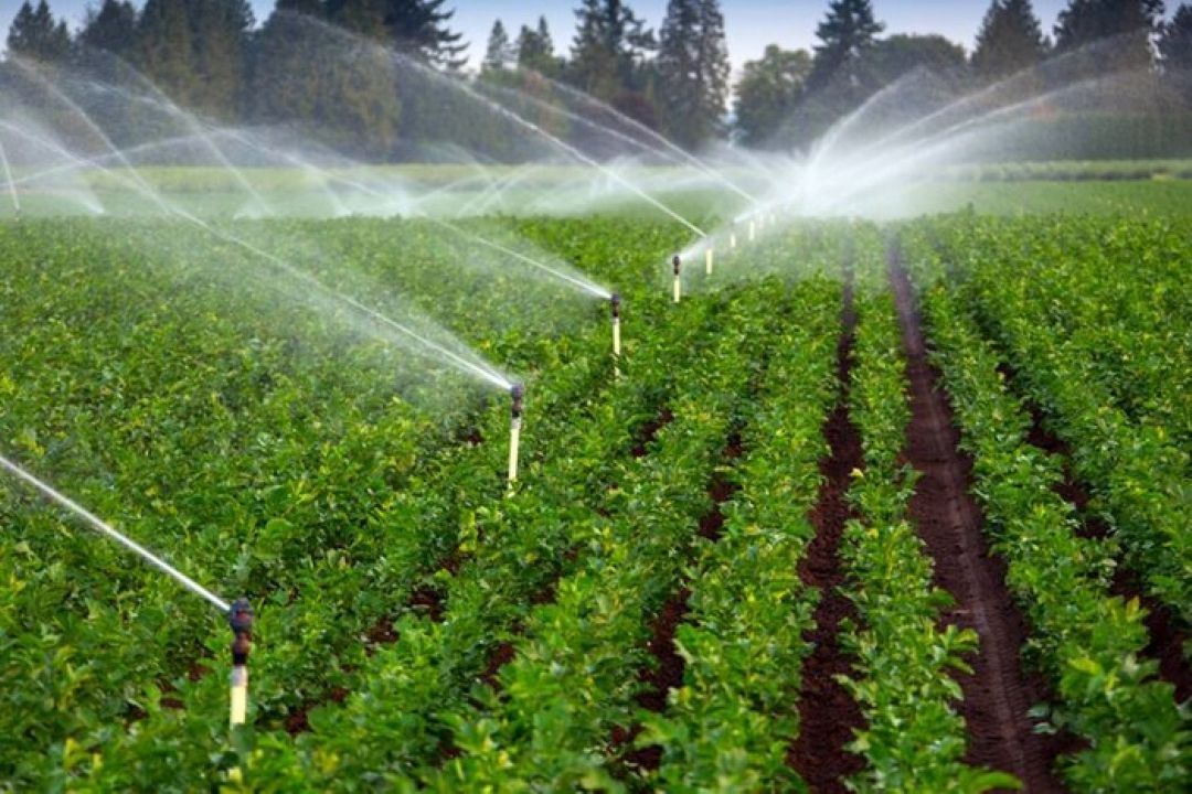اجرای آبیاری های نوین در استان اصفهان