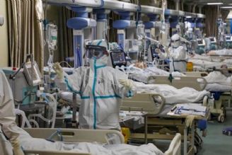 بستری روزانه 600 بیمار كرونایی در استان فارس