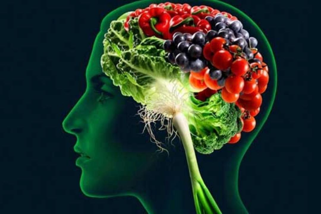 بررسی ارتباط غذا ها و حافظه در "چه خبر "