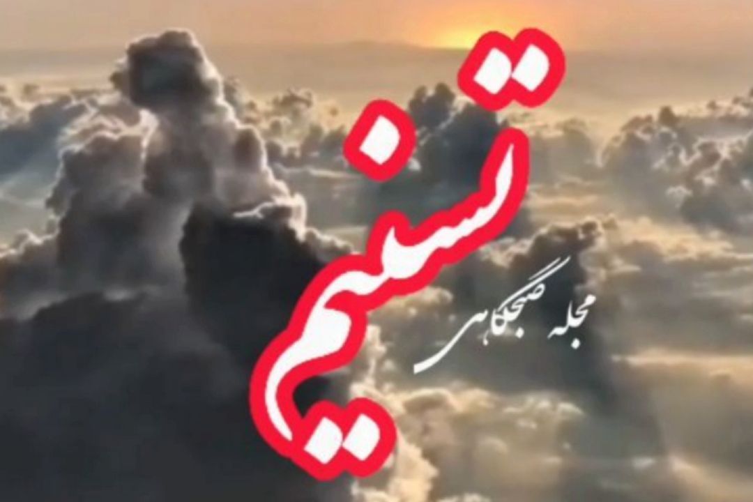 بخشی از سخنان دكتر سعید مدرّسی در مجله صبحگاهی تسنیم 