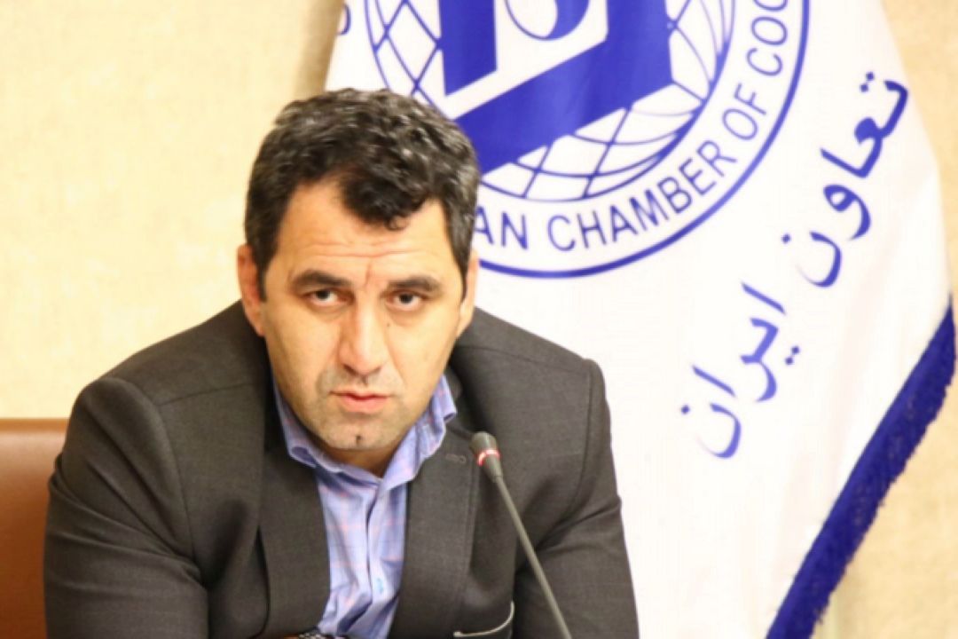 دخالت و نفوذ دولت‌ها، برای بخش تعاونی دردسرساز است 