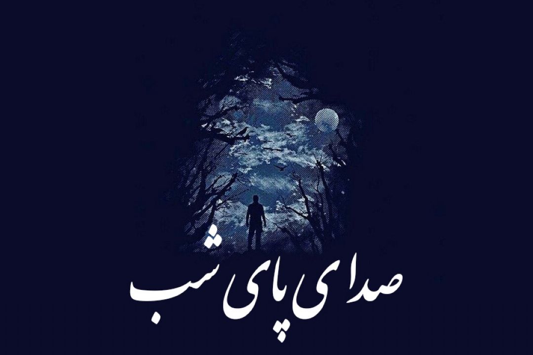 صدای پای شب