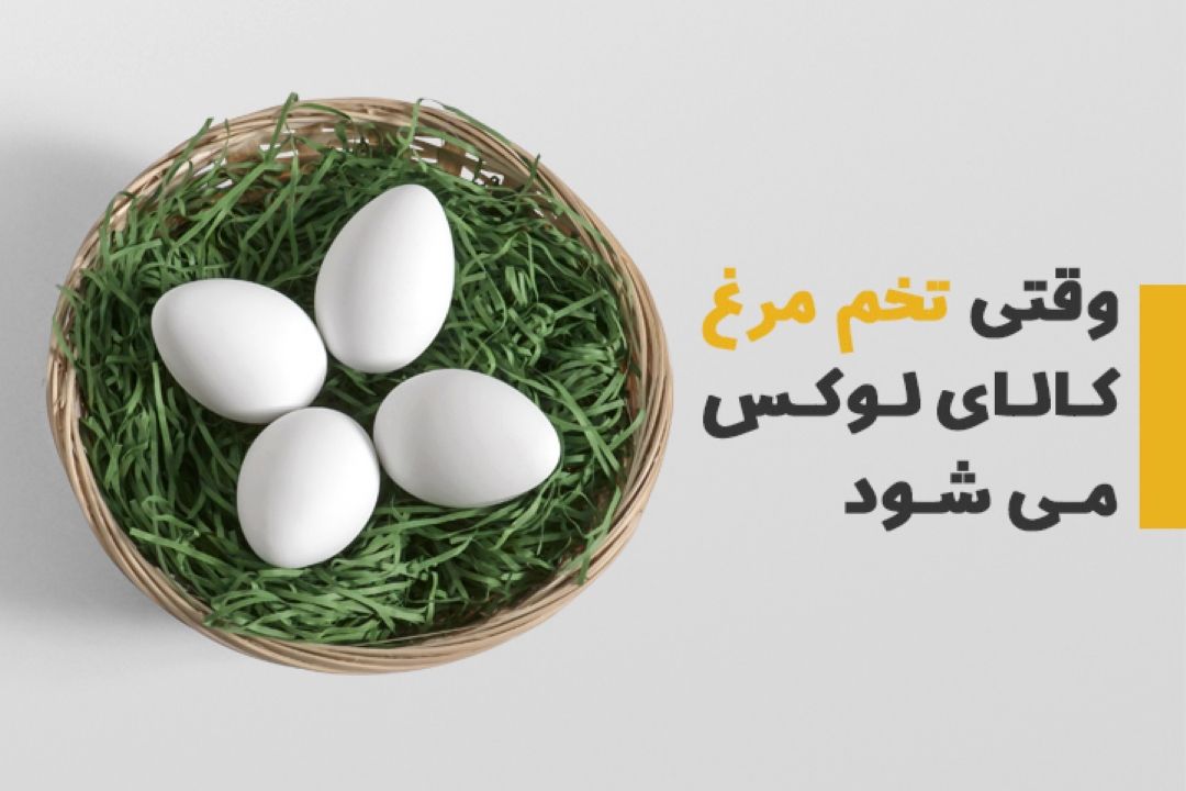 رقابت مرغ و تخم مرغ برای گرانی در 
