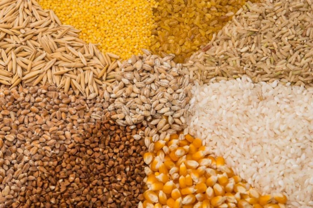 افزایش 40 درصدی نرخ خرید تضمینی محصولات كشاورزی