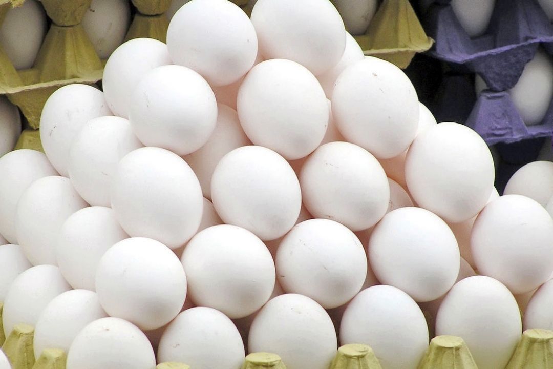 تخم‌مرغ جایگزین گوشت سبد مصرف خانوار