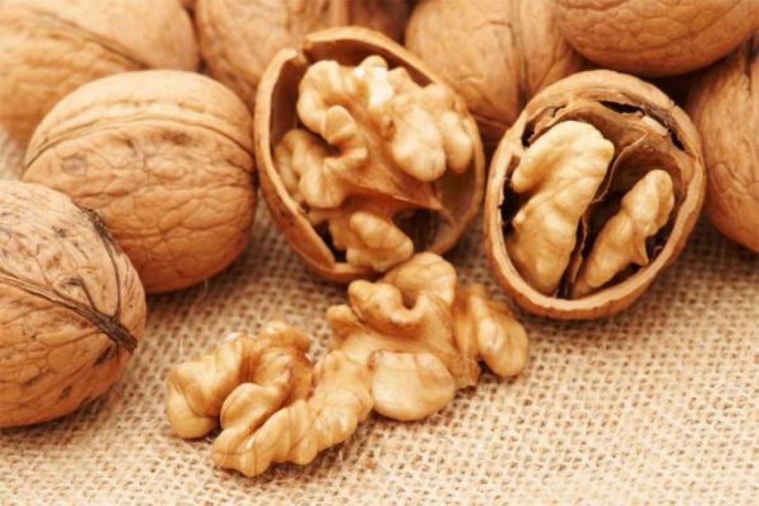 قاچاق و نفوذ دلالان بلای جان بازار گردو