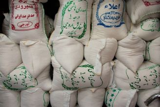 برنج ایرانی ارزان شد