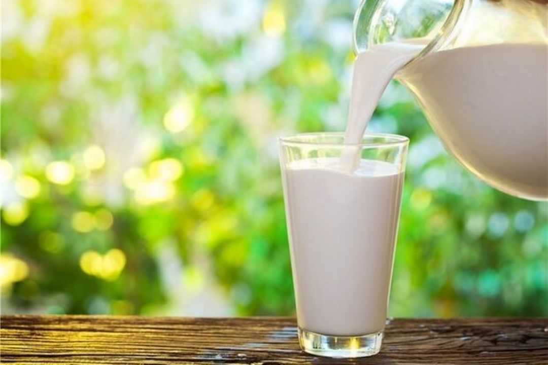 نوشیدن شیر داغ قبل از خواب موجب بهبود كیفیت خواب شبانه می شود