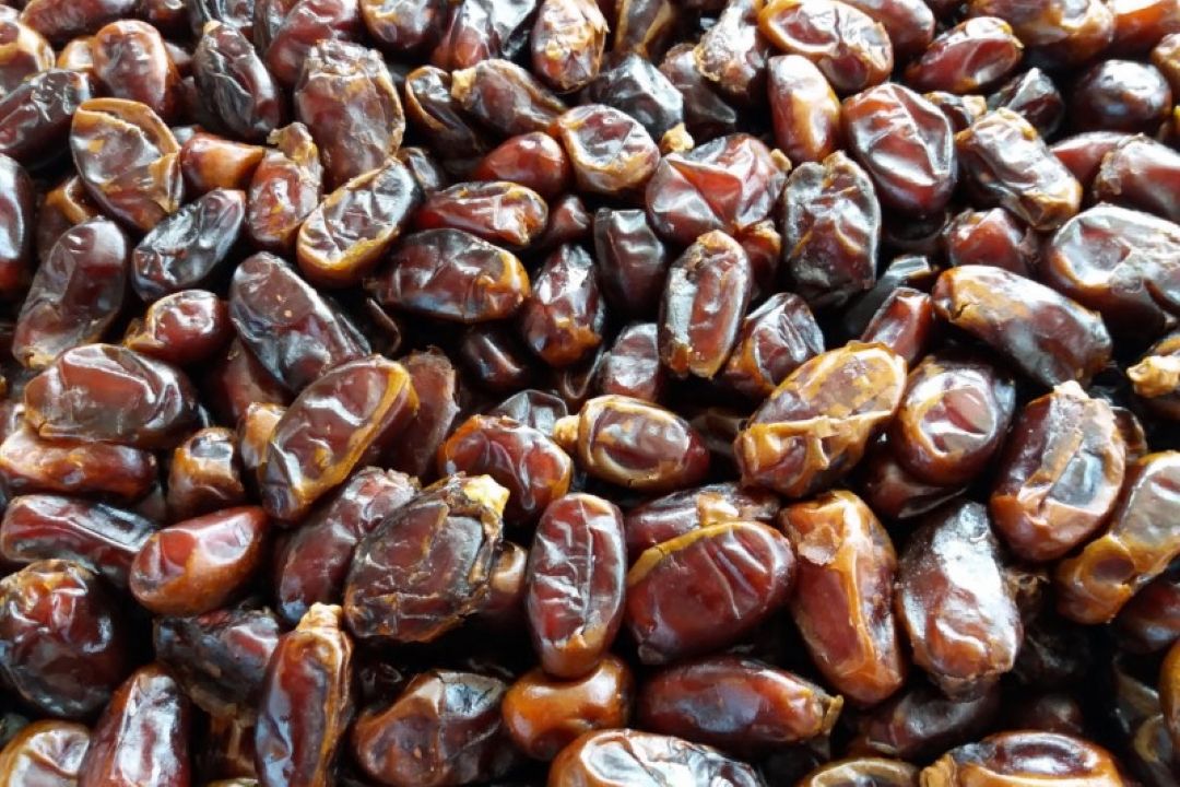 ادامه خرید تضمینی خرمای استعمران تا پایان مهر