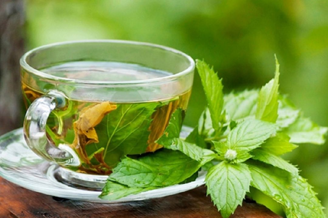 چای سبز و نظر جدید دانشمندان درباره فواید آن