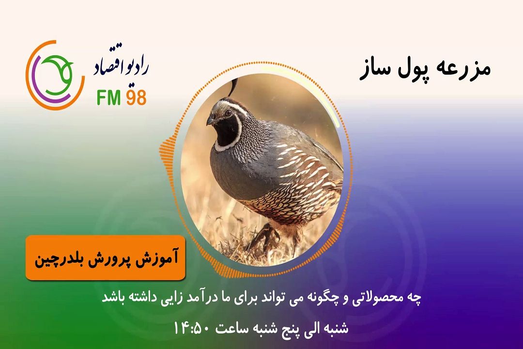 برای آشنایی با مشاغل درآمدزا با "مزرعه پولساز" همراه باشید