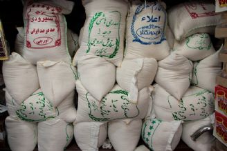 قیمت برنج ایرانی صددرصد افزایش یافت