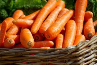 قیمت هویج به زیر 10 هزار تومان رسید