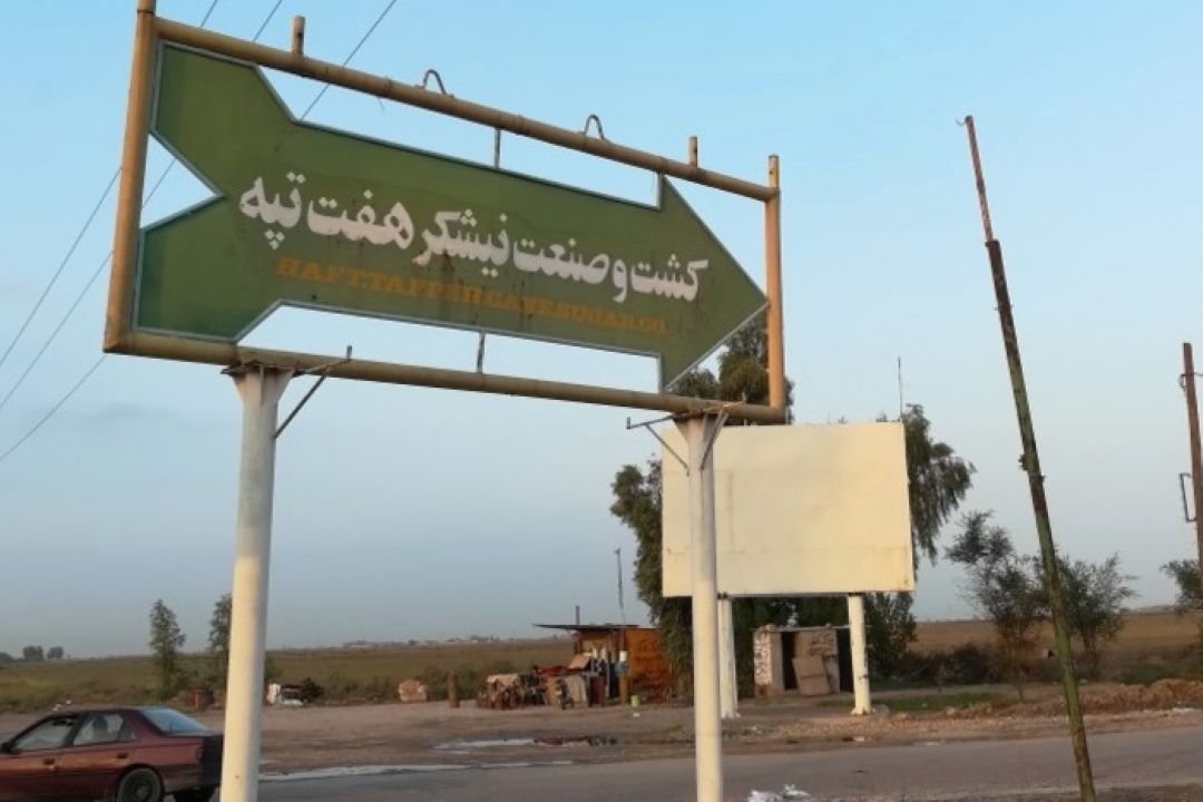 نیشكر هفت تپه در مسیر شكوفایی