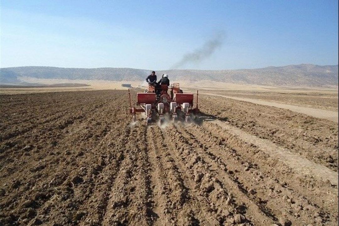 نگاهی به كشاورزی در شهرستان كامیاران استان كردستان