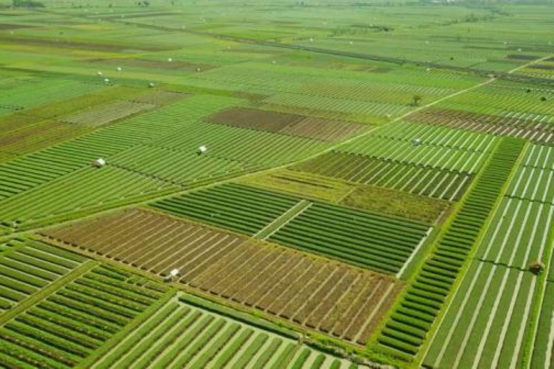 اجرای طرح كاداستر در زمین های كشاورزی