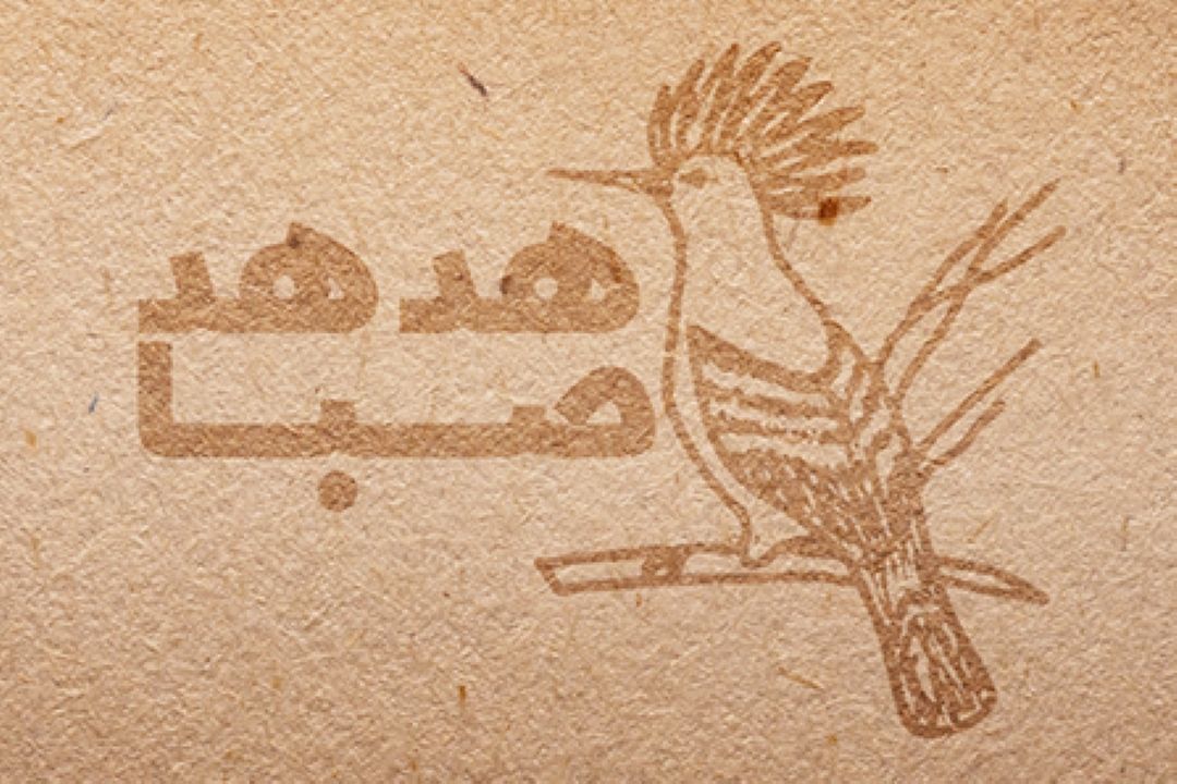هدهد صبا