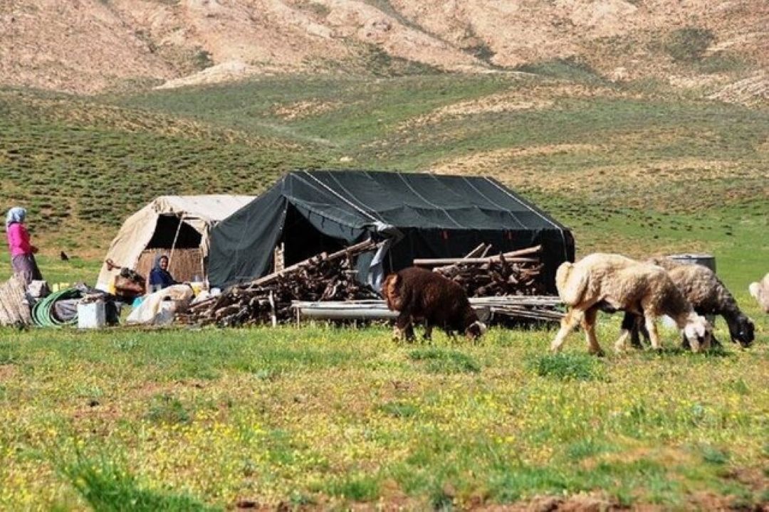 رئیس سازمان بسیج جامعه عشایری كشور از خدمات رسانی به روستاهای محروم و عشایر كشور خبر داد 