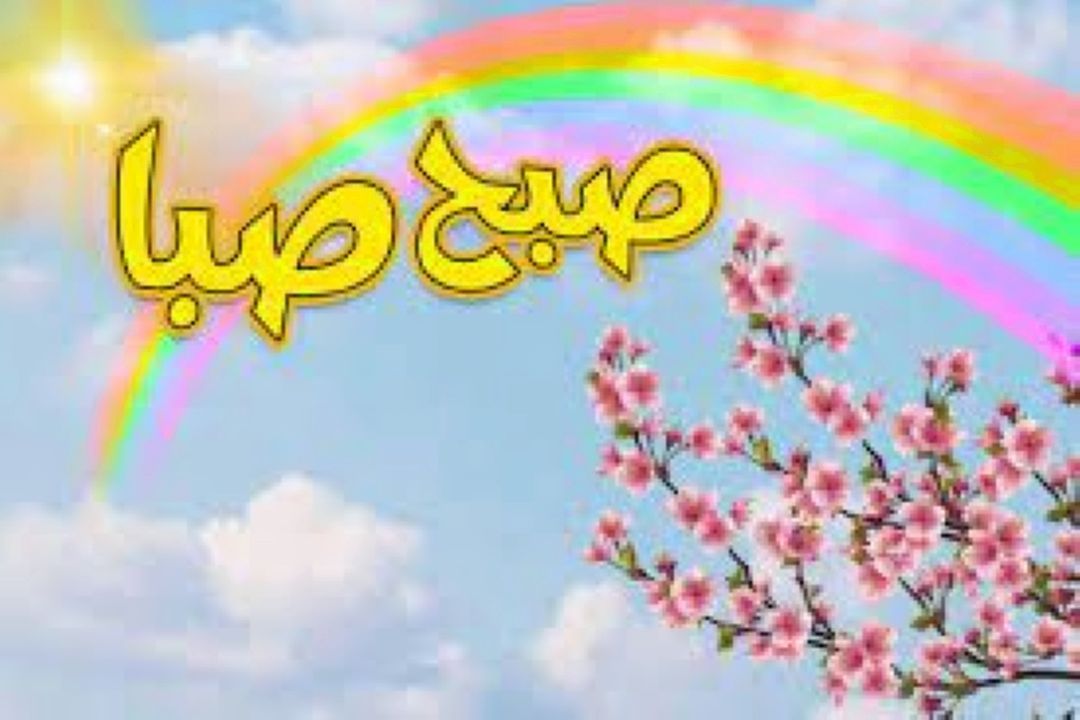 «صبح صبا» با با كلید واژه چوب با همه شوخی می كند