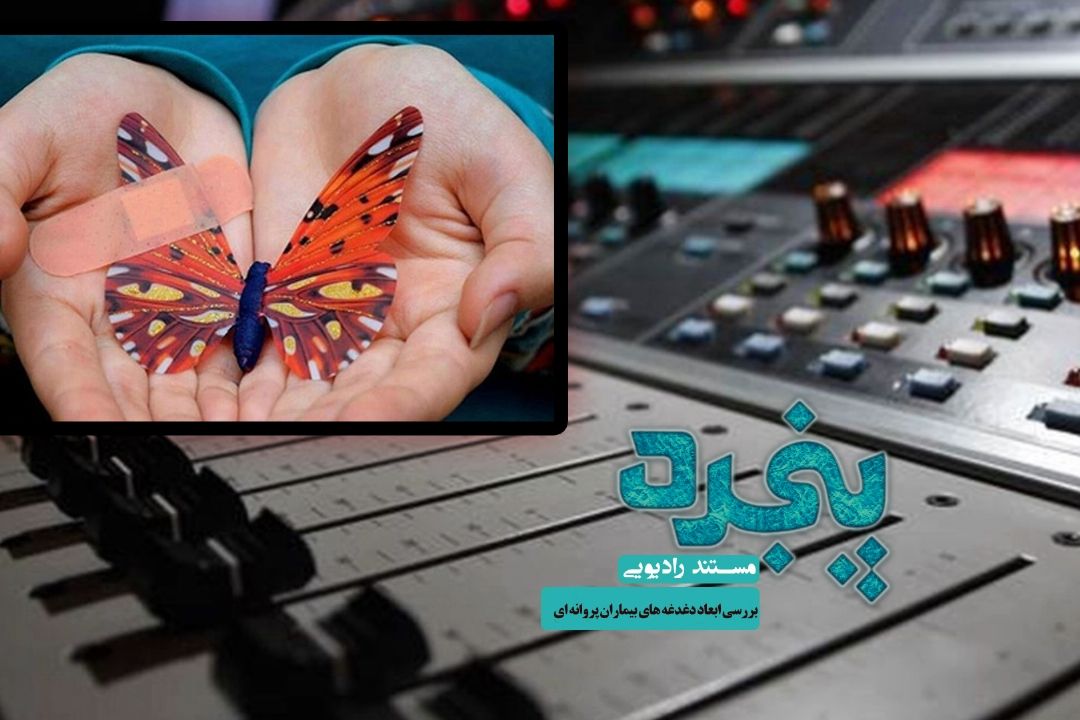 بررسی ابعاد دغدغه های بیماران پروانه ای در " پنجره "