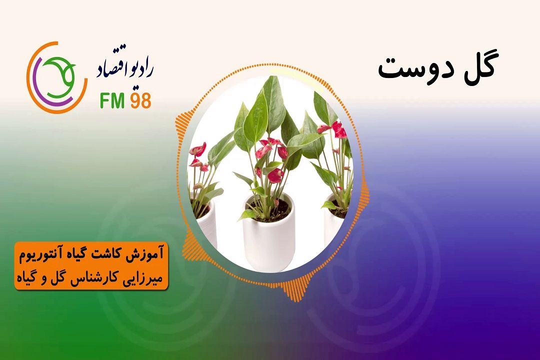 معرفی، شرایط نگهداری و تكثیر گل ها و گیاهان