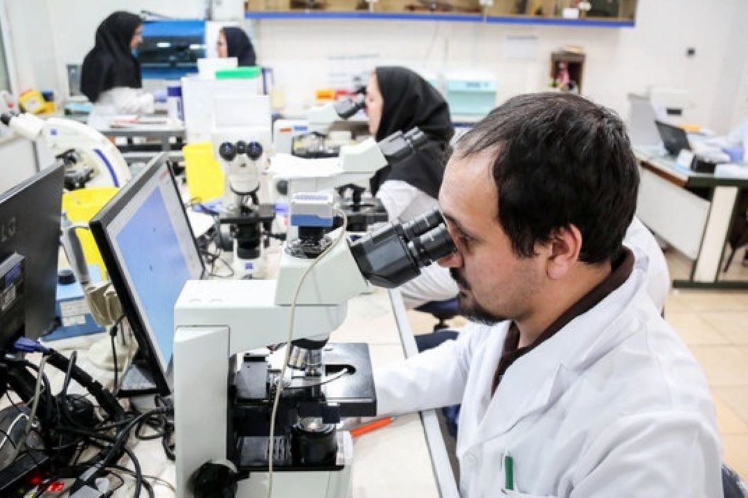 آسیب شناسی فعالیت‌های پژوهشی در دانشگاه‌ها