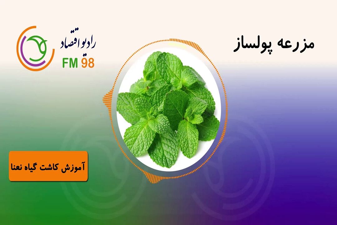 مزرعه پولساز