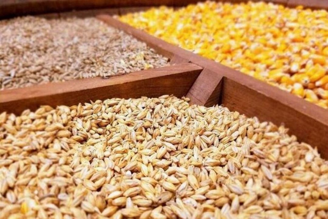 عضو هیات مدیره اتحادیه واردكنندگان نهاده های دام وطیور ایران از ابهام در بخشنامه صادره از سوی سازمان امور مالیاتی كشور خبر داد