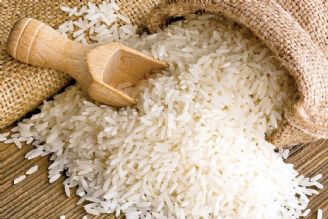قیمت روز افزون برنج دست دلالان است