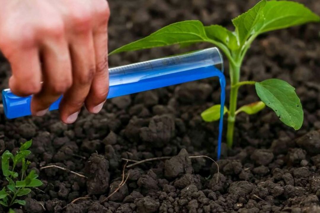 وضعیت تولید سموم كشاورزی در كشور