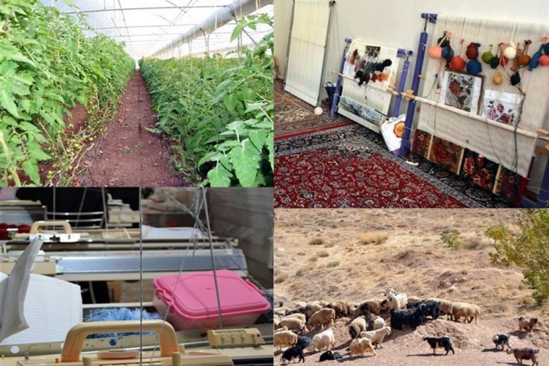اعتبارات اشتغال روستایی به مشاغل با مزیت نسبی اشتغالزا پرداخت می‌شود