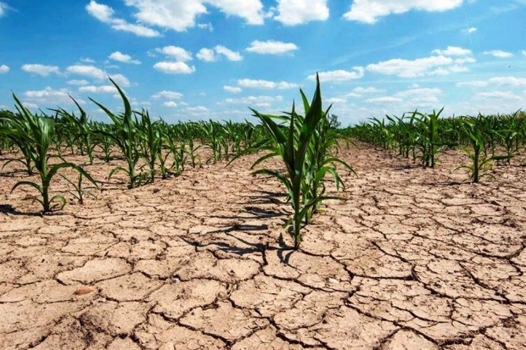 بحران كم آبی و وضعیت كشاورزی كشور