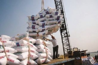 واردات برنج را آزاد کنید