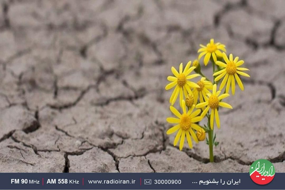 برای حس خوب داشتن، امیدها را در دل زنده نگه داریم