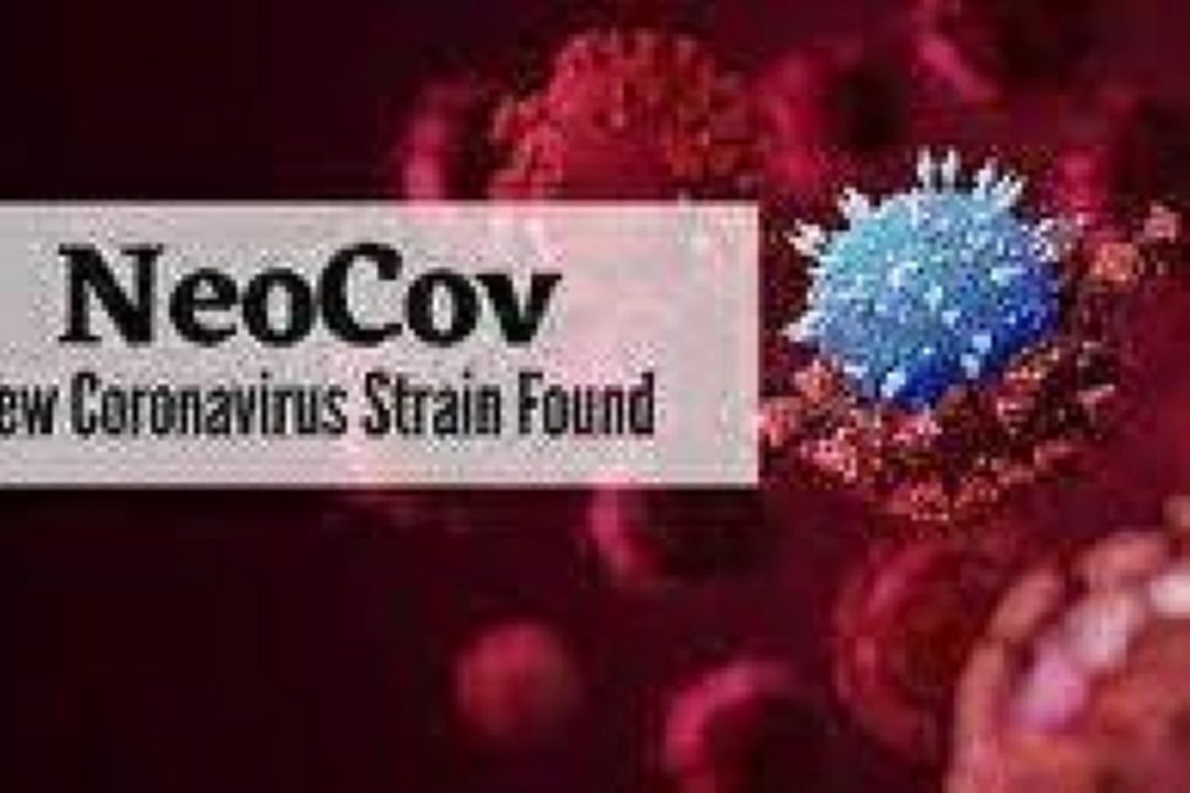 نئوكوو NeoCov یك سویه جدید از كووید19 است؟