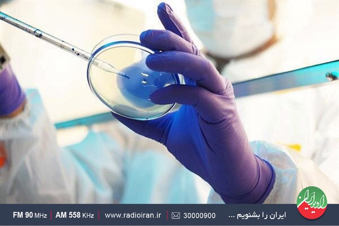هورمون رشد؛ اولین فرآورده پژوهشگاه ملی مهندسی ژنتیك وزیست فناوری