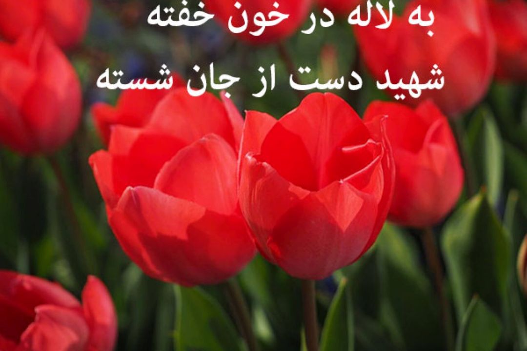 معرفی سرود به  لاله در خون خفته رادیو صبا
