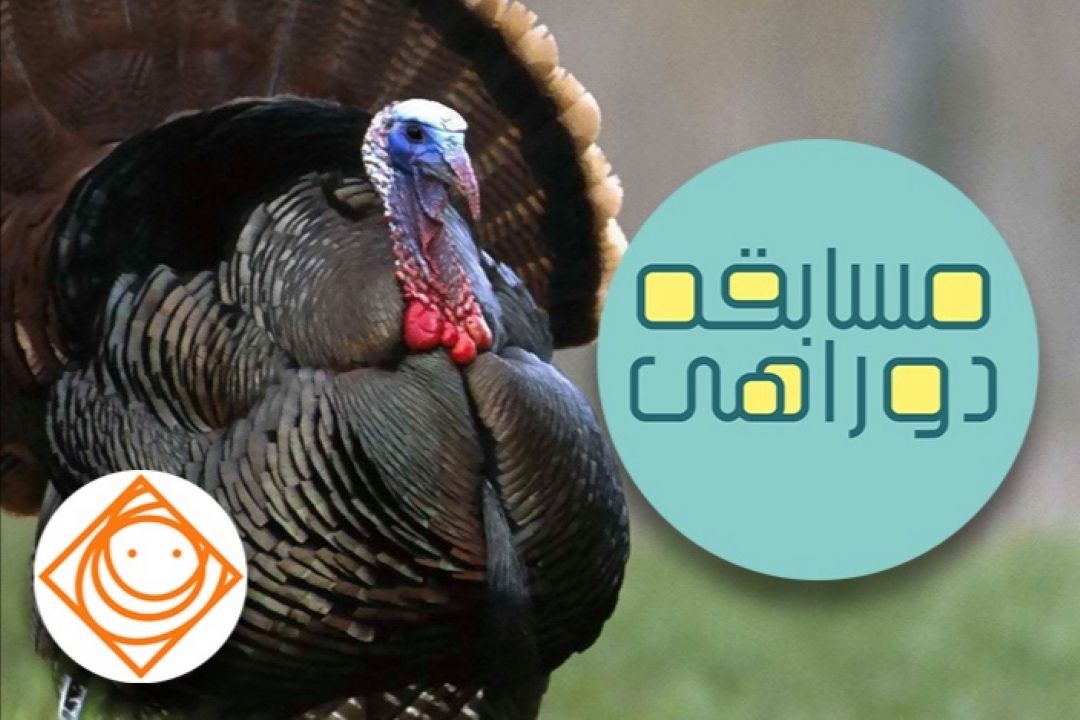 پرورش بوقلمون در «رادیو صبا» 