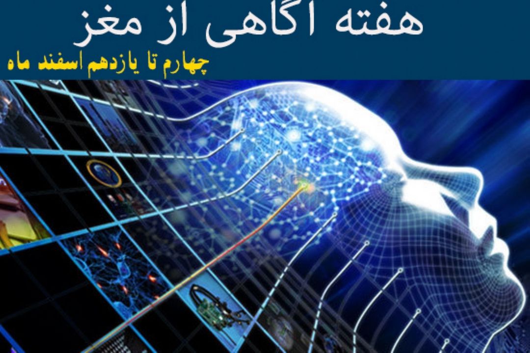 برنامه ویژه «باشگاه بانوان» در هفته‌ی آگاهی از مغز