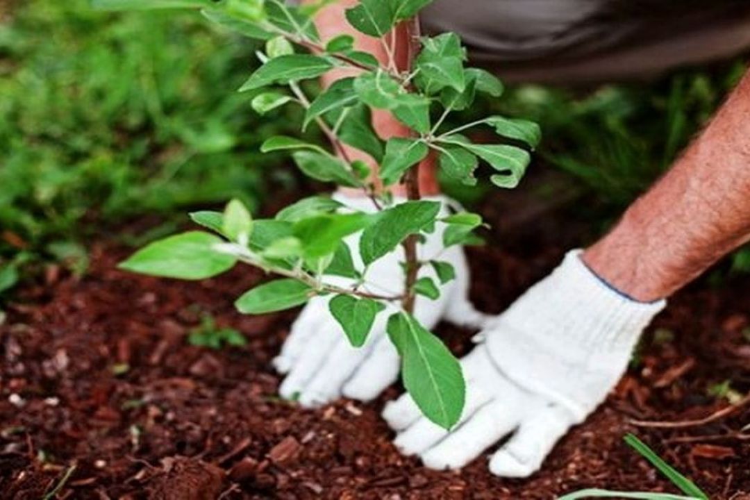 رادیو گفت‌وگو به استقبال هفته منابع طبیعی و محیط‌زیست رفت