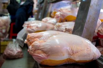 افزایش قیمت مرغ به 70 هزار تومان با حذف ارز ترجیحی
