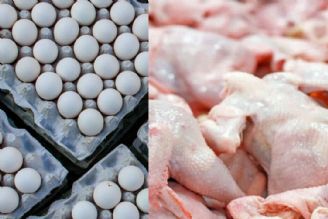 قیمت تخم مرغ در ماه رمضان كاهشی و قیمت مرغ افزایشی خواهد بود 