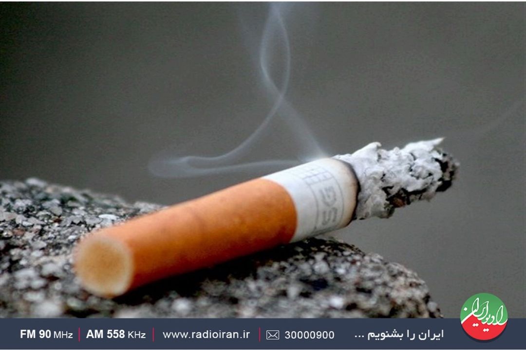 از ممنوعیت استفاده دخانیات در سوئد تا عمر طولانی كوسه گرین‌لند