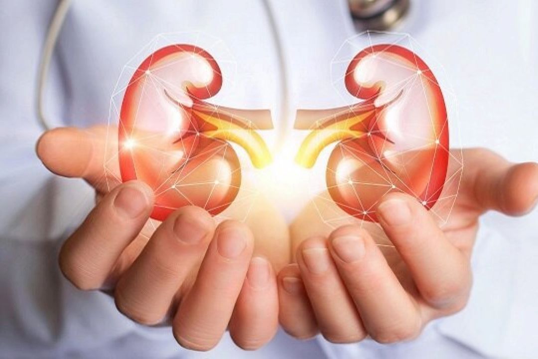 توصیه هایی برای تضمین سلامتی كلیه ها