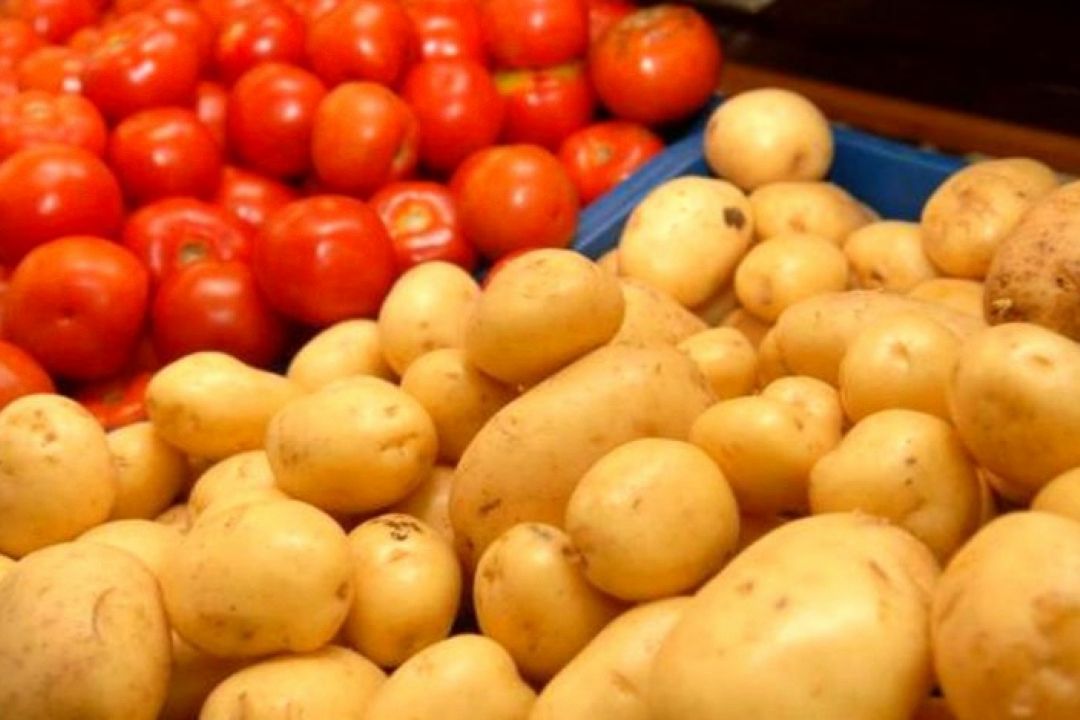 بررسی علل افزایش قیمت گوجه فرنگی و سیب زمینی