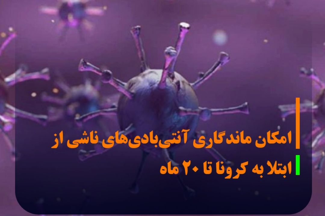 دوام آنتی بادی های كووید 19 چقدر است