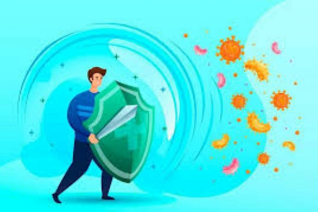 كدام مواد غذایی سیستم ایمنی بدن را تقویت می‌كند؟
