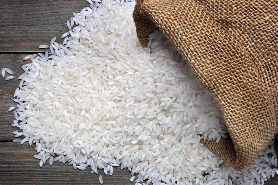 قیمت برنج در «صبح صبا»