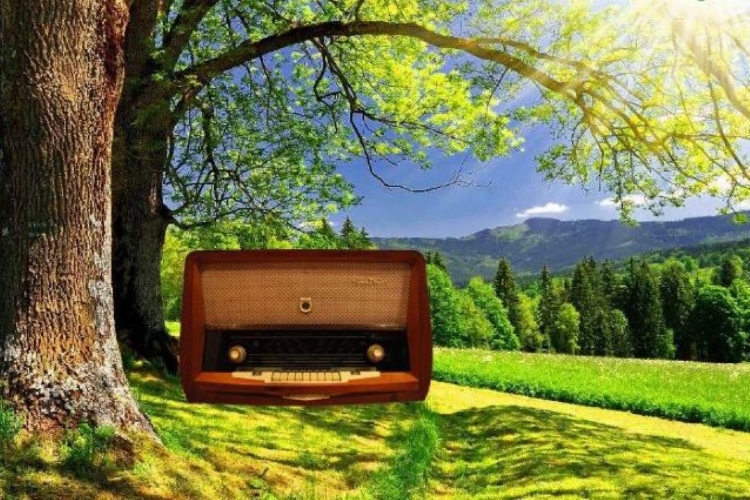 دست پر رادیو در تابستان با بیش از هفت هزار برنامه